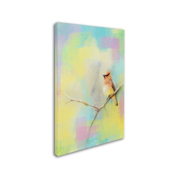 Jai Johnson 'Song Of The Waxwing' Canvas Art,12x19